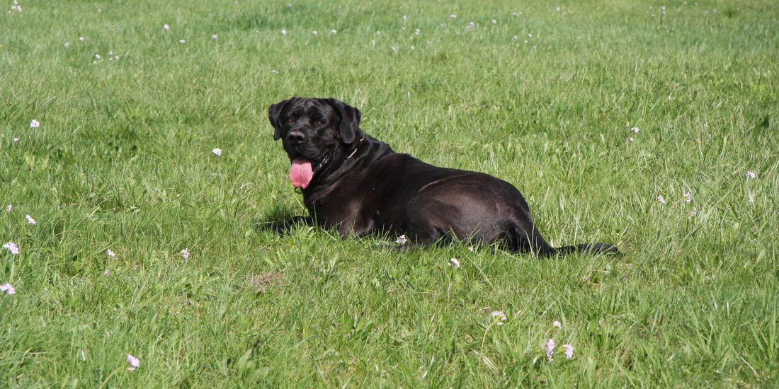 img_0030.jpg img_0030.jpg