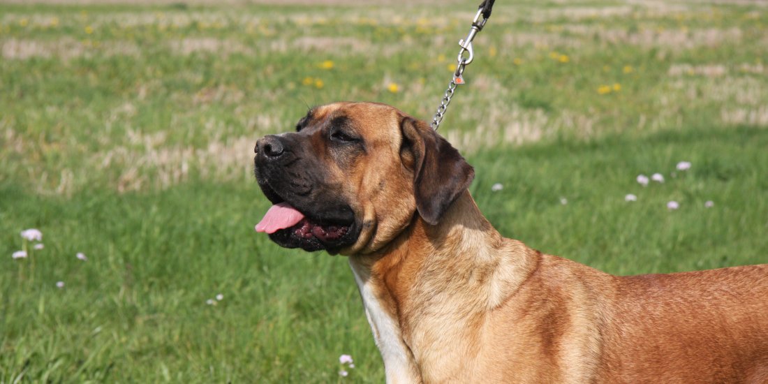 img_0100.jpg img_0100.jpg