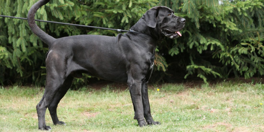 img_4472.jpg img_4472.jpg