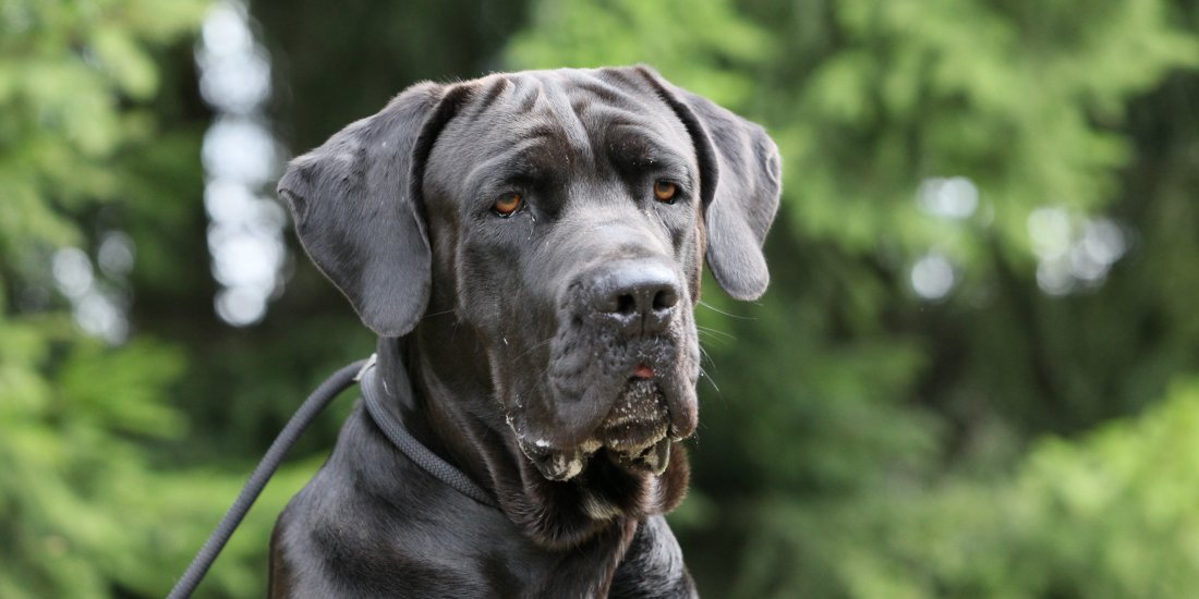 img_4502.jpg img_4502.jpg