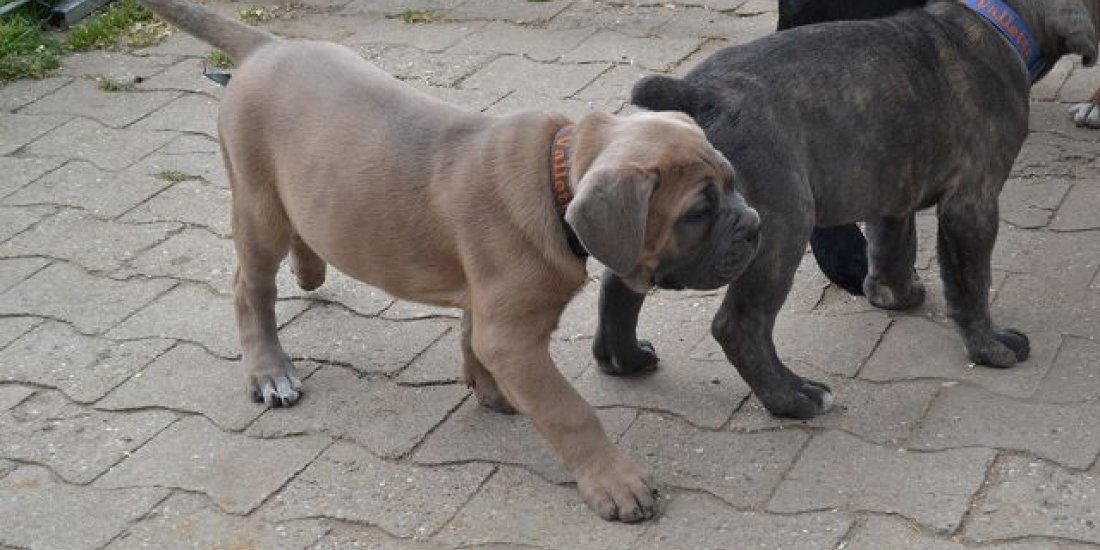 k-dsc_0345.jpg k-dsc_0345.jpg