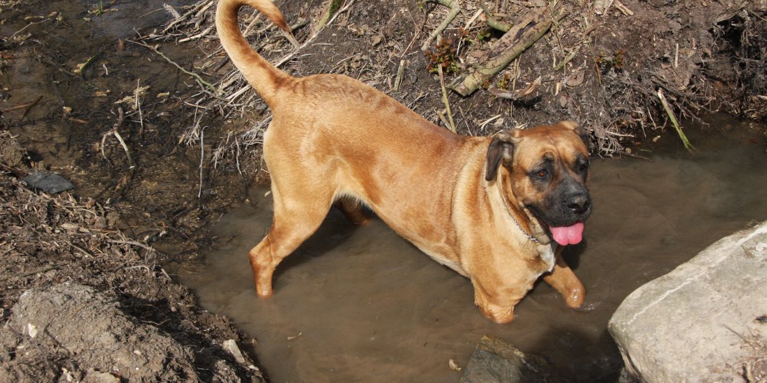 img_0167.jpg img_0167.jpg