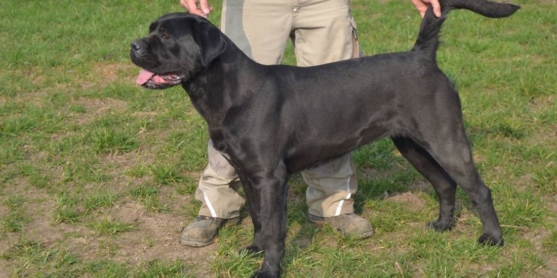 received_768602733238128.jpeg received_768602733238128.jpeg